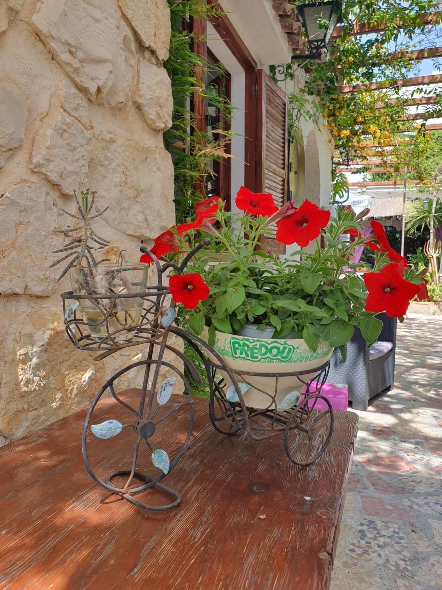 Hostal Mi Campana เดเนีย ภายนอก รูปภาพ