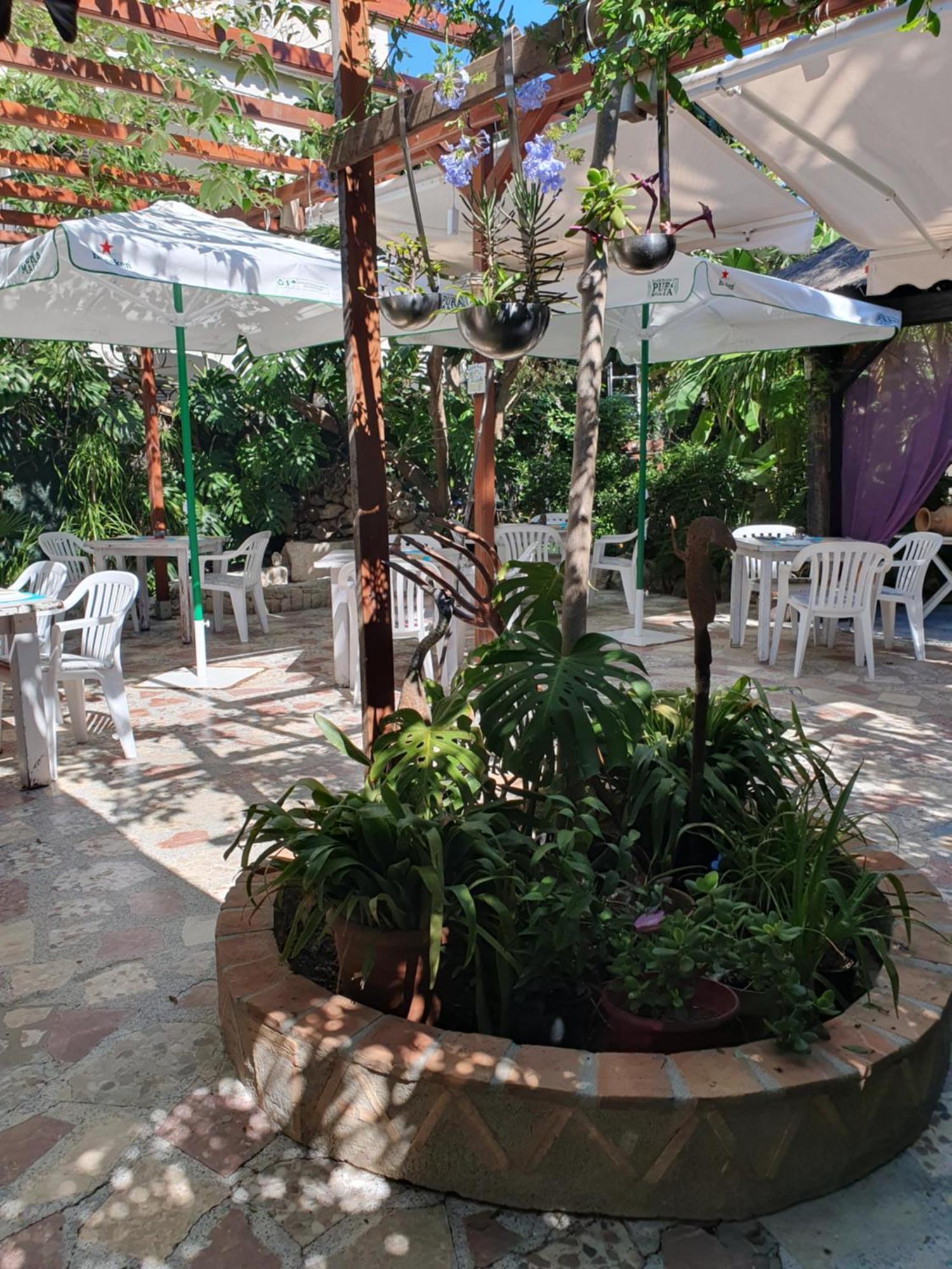 Hostal Mi Campana เดเนีย ภายนอก รูปภาพ